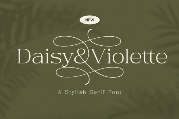 A Designer's Review of Daisy Violette, a Stylish Modern Serif